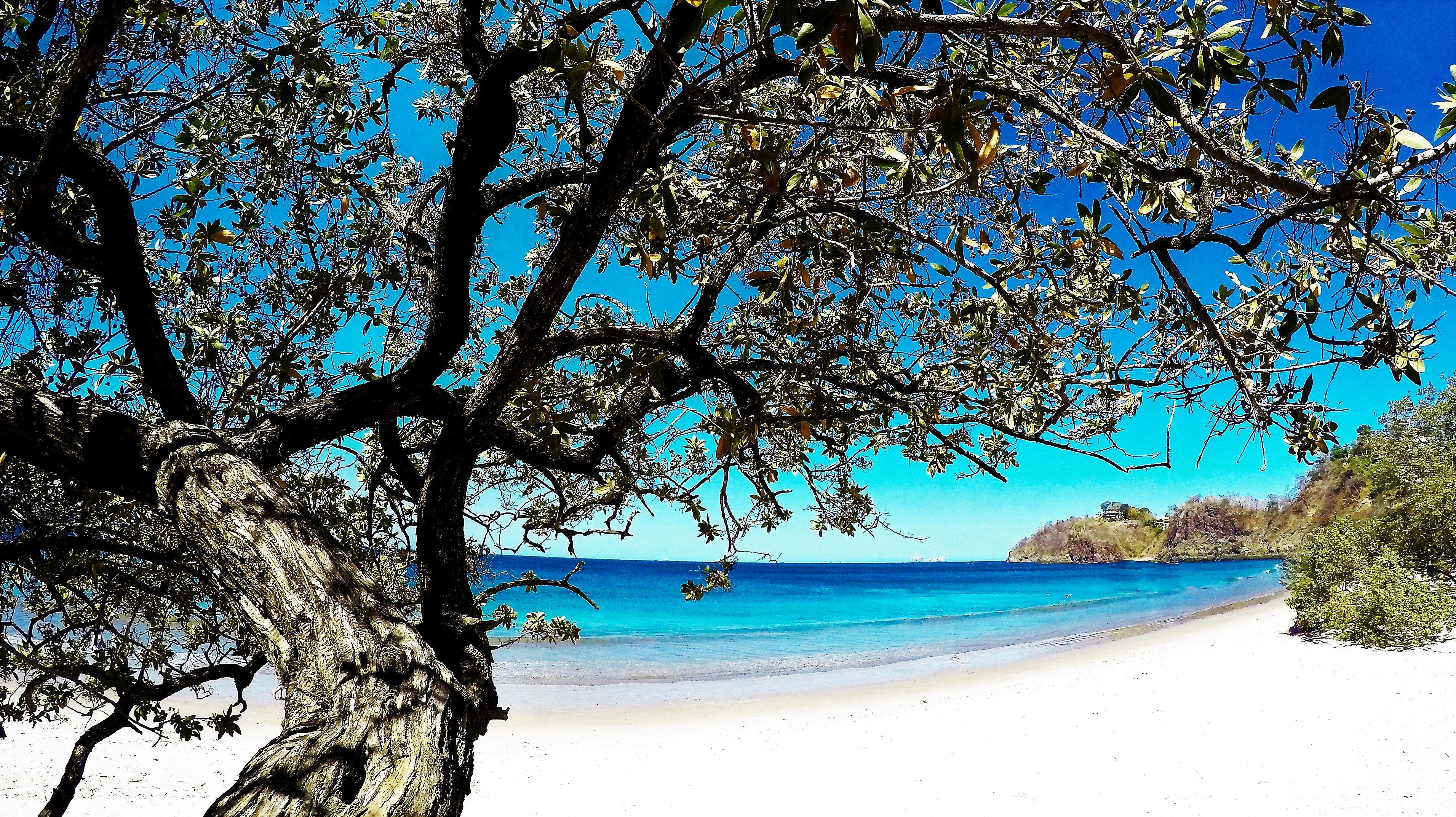 Margaritaville Beach Resort Playa Flamingo Bagian luar foto