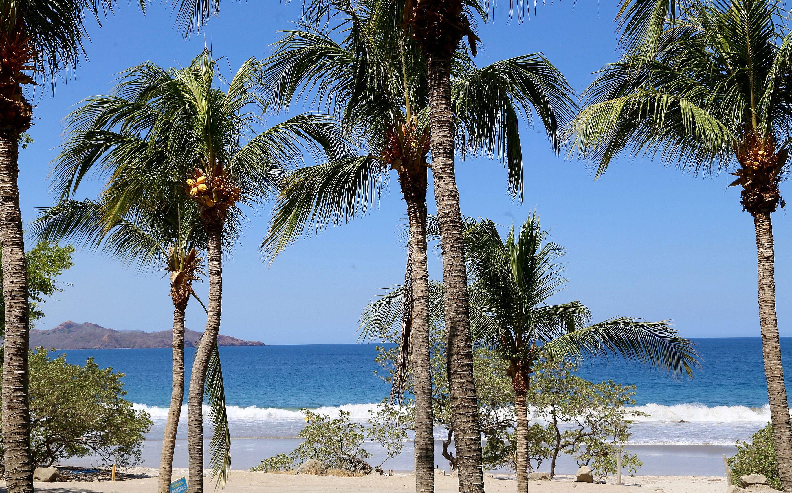 Margaritaville Beach Resort Playa Flamingo Bagian luar foto