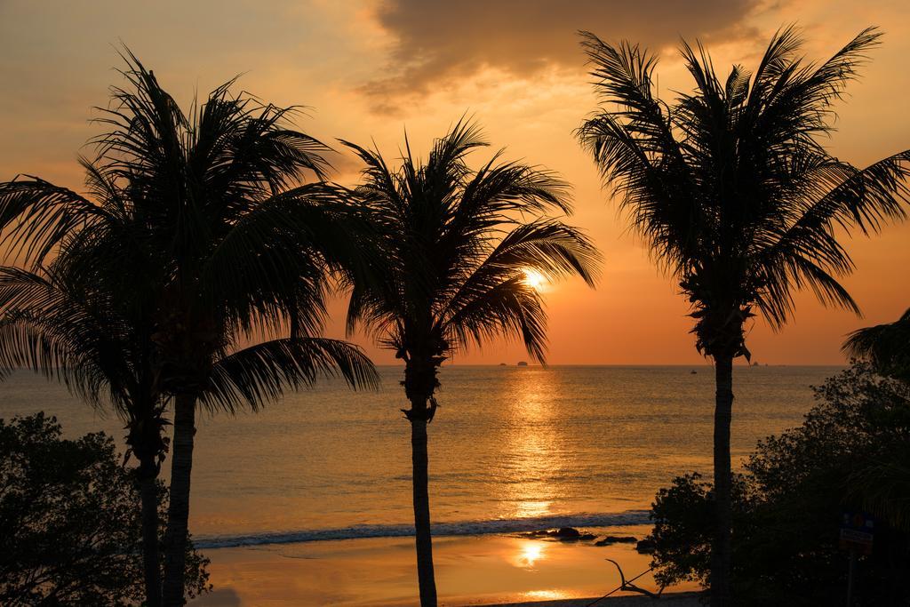 Margaritaville Beach Resort Playa Flamingo Bagian luar foto